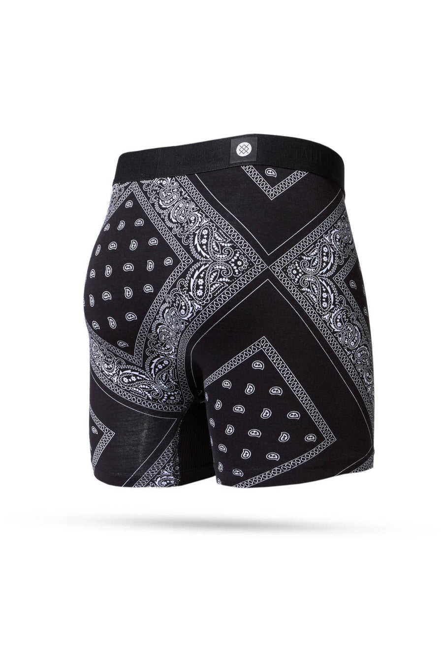 Stance Barrio Boxer Briefs in Black – back view