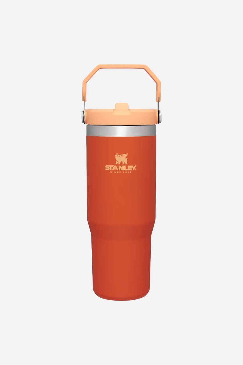 Stanley IceFlow™ Flip Straw Tumbler | 20oz | 30oz – alternate