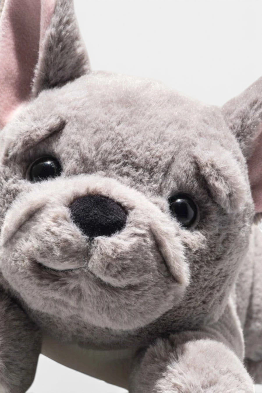 Steiff Brie French Bulldog 9" Plush Toy – detail