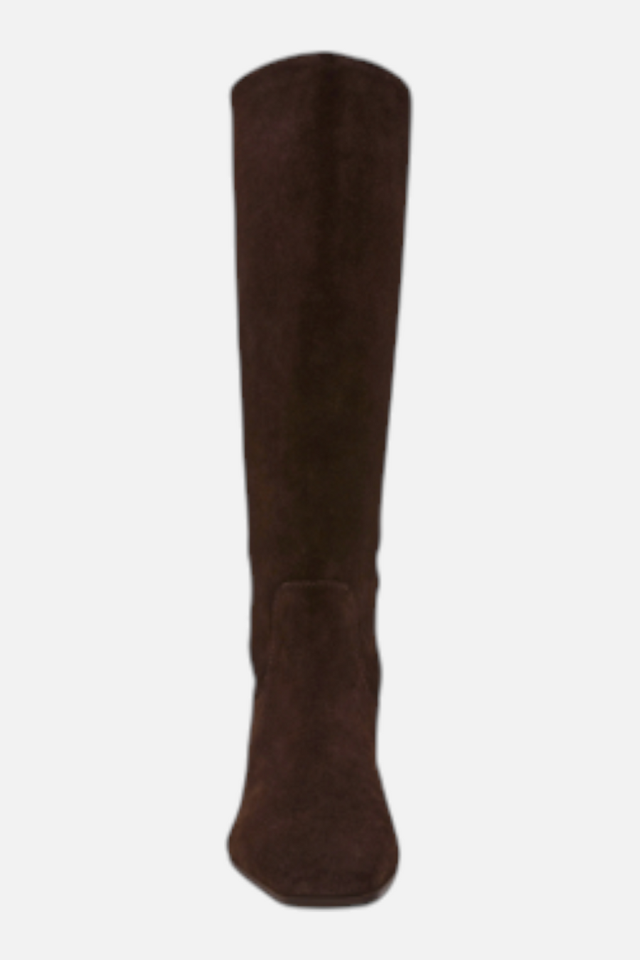 Steve Madden Dantelle Boot in Brown Suede – back view