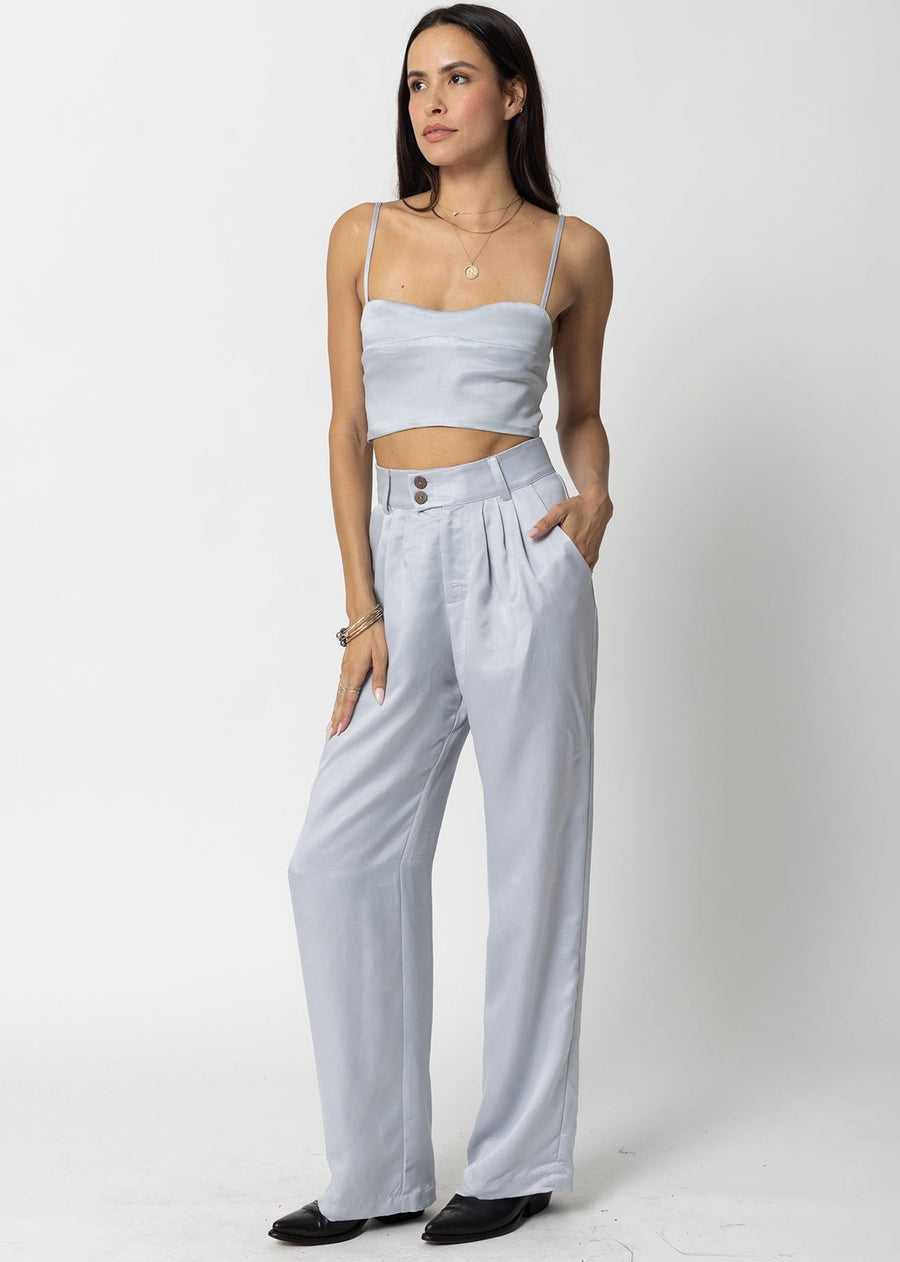 Stillwater Cupro Silky Pleated Pant in Silver – back view