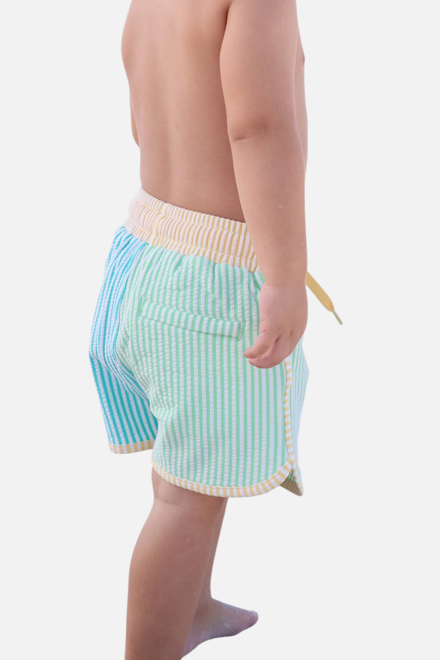 Caden Lane Multi Color Seersucker Trunks