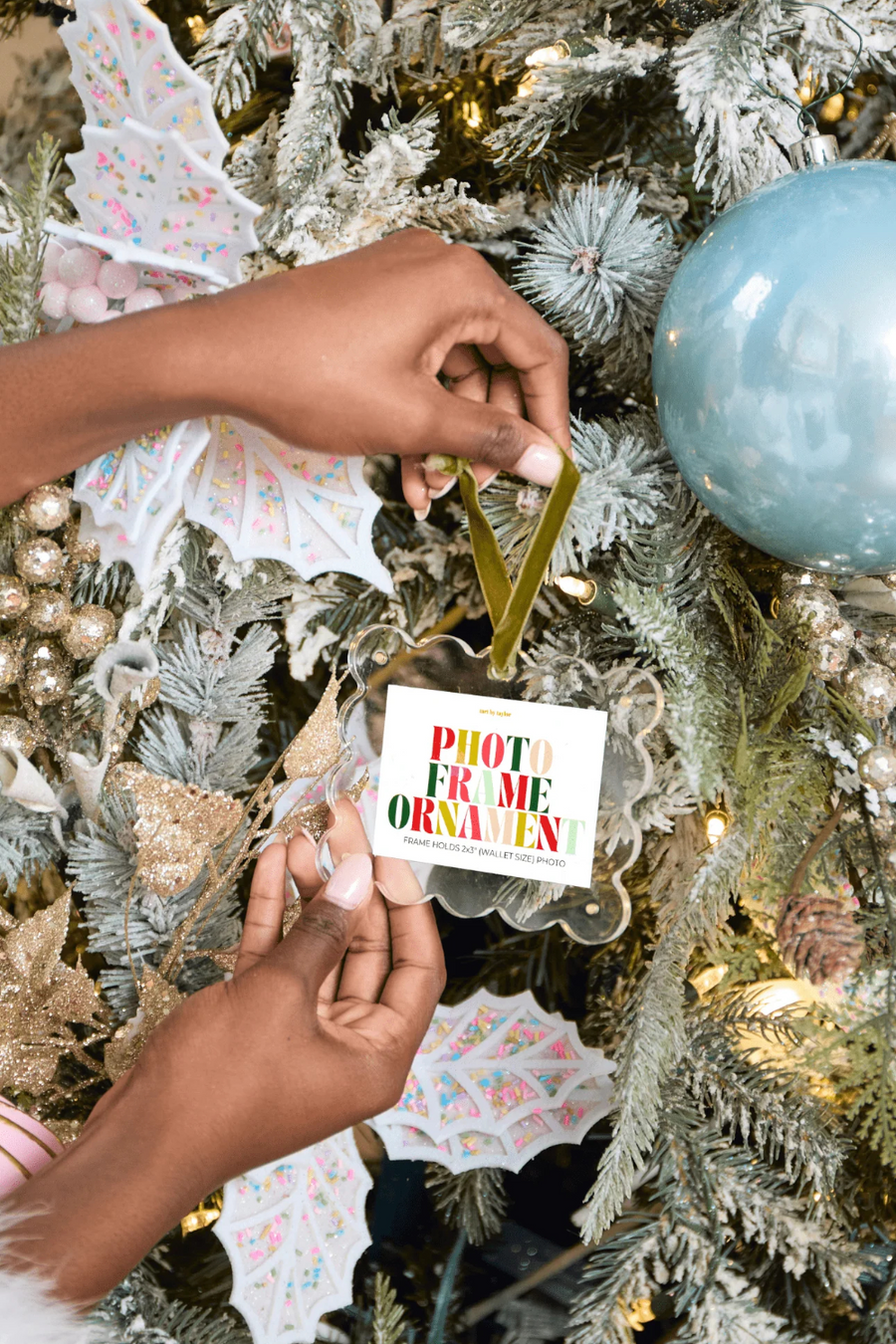 Tart By Taylor Clear Mini Frame Ornament – back view