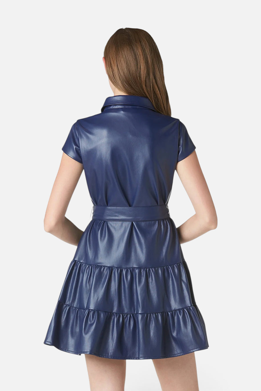 Tart Collections Viola Dress in Deep Cobalt – back view