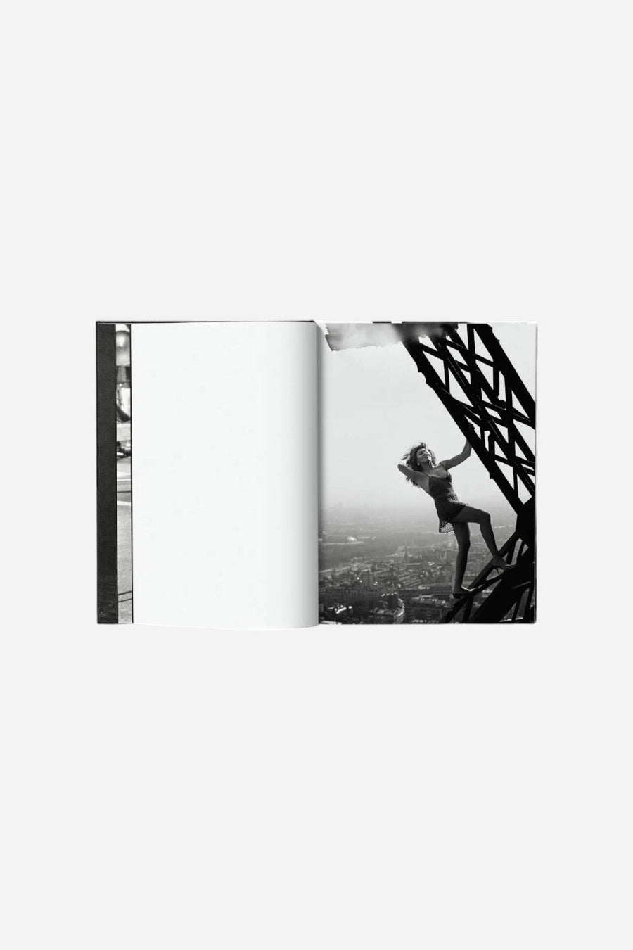 Taschen Tina Turner By Peter Lindbergh – alternate
