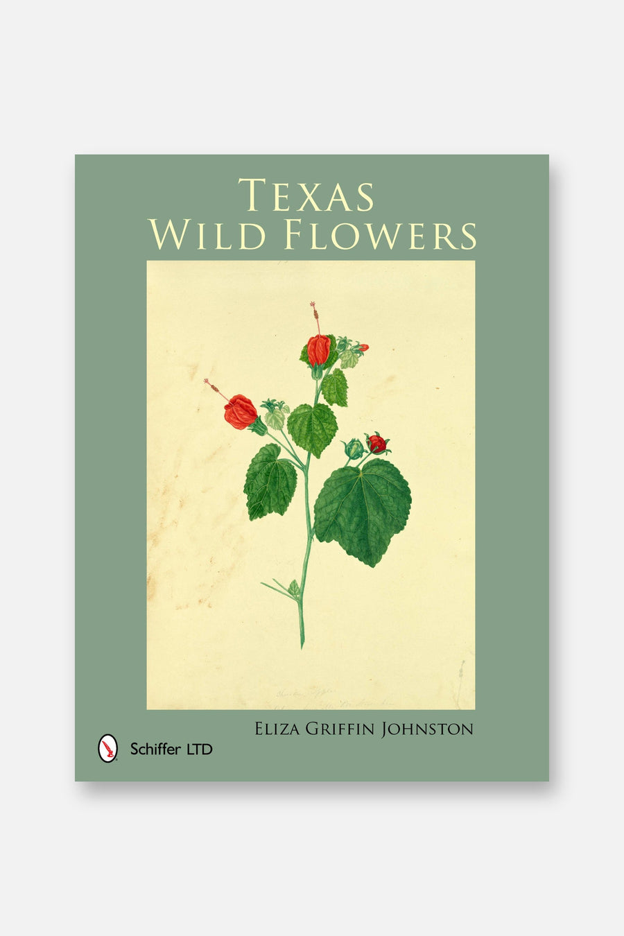 Texas Wild Flowers – front view
