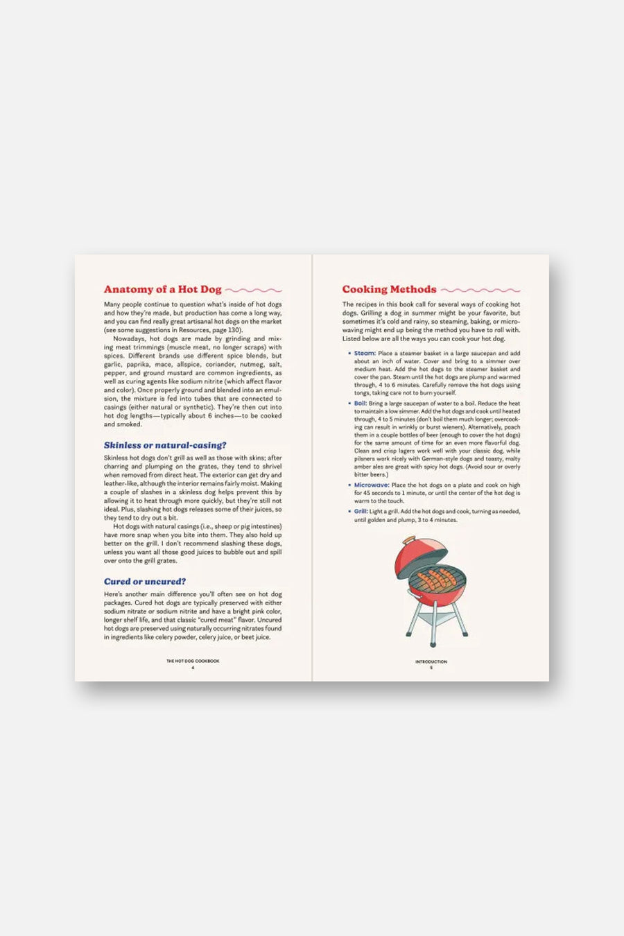 The Hot Dog Cookbook By Farideh Sadeghin – back view