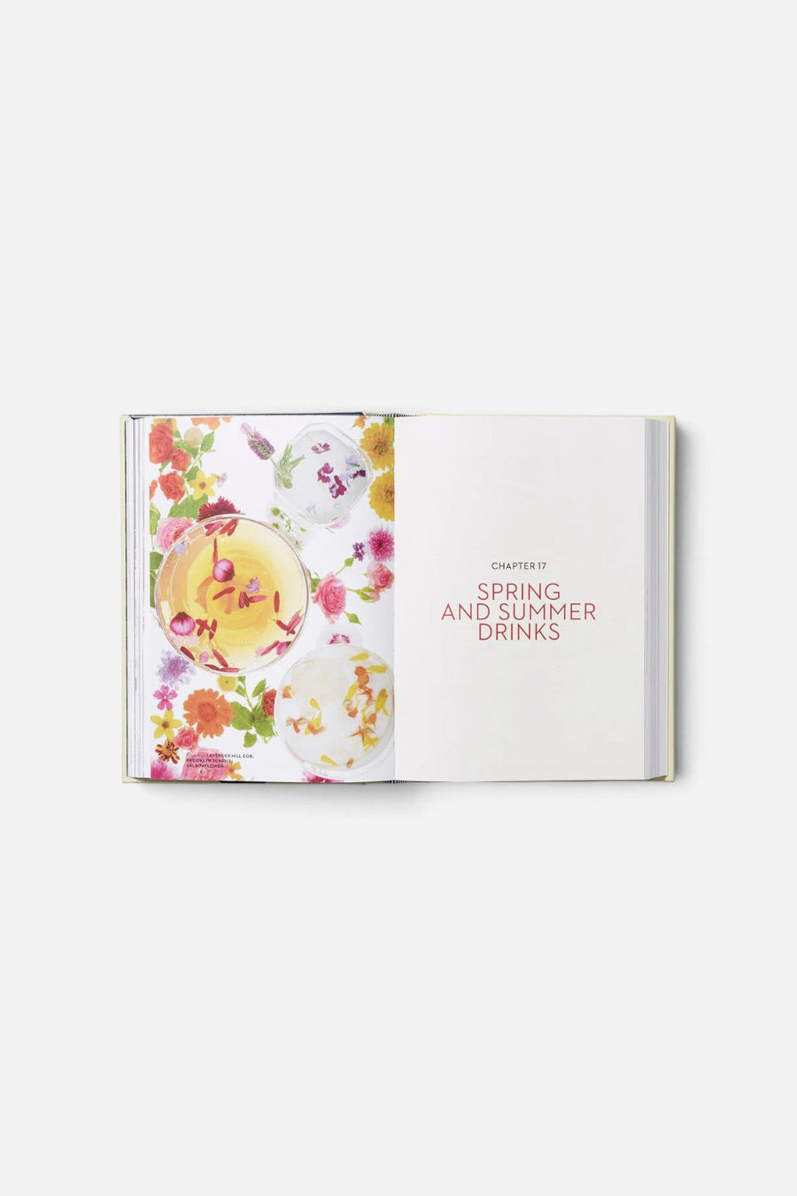The New York Times Essential Book of Cocktails – back view
