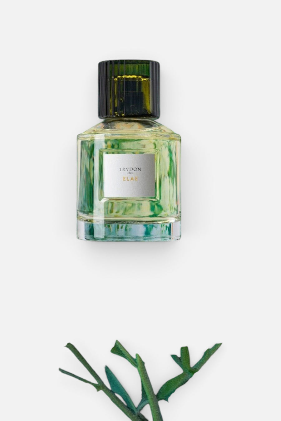 Trudon Elae Eau de Parfum – detail