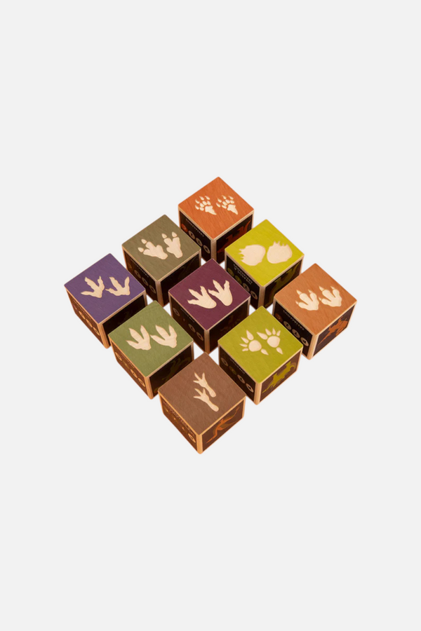 Uncle Goose Dinosaur Blocks