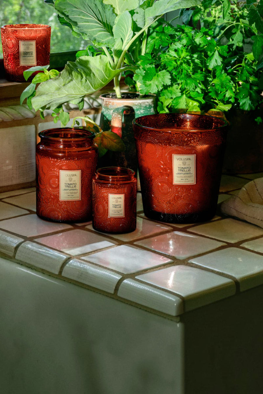 Voluspa Tomato Trellis Small Jar Candle – detail