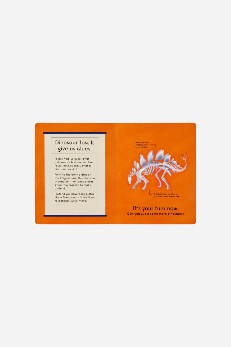 Who's That Dinosaur? An Animal Guessing Game – side view