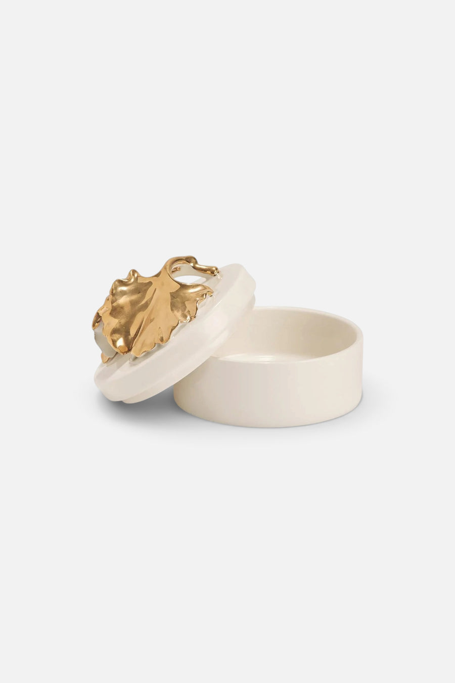 Ycc002 Golden Ginkgo Leaf Box – front view