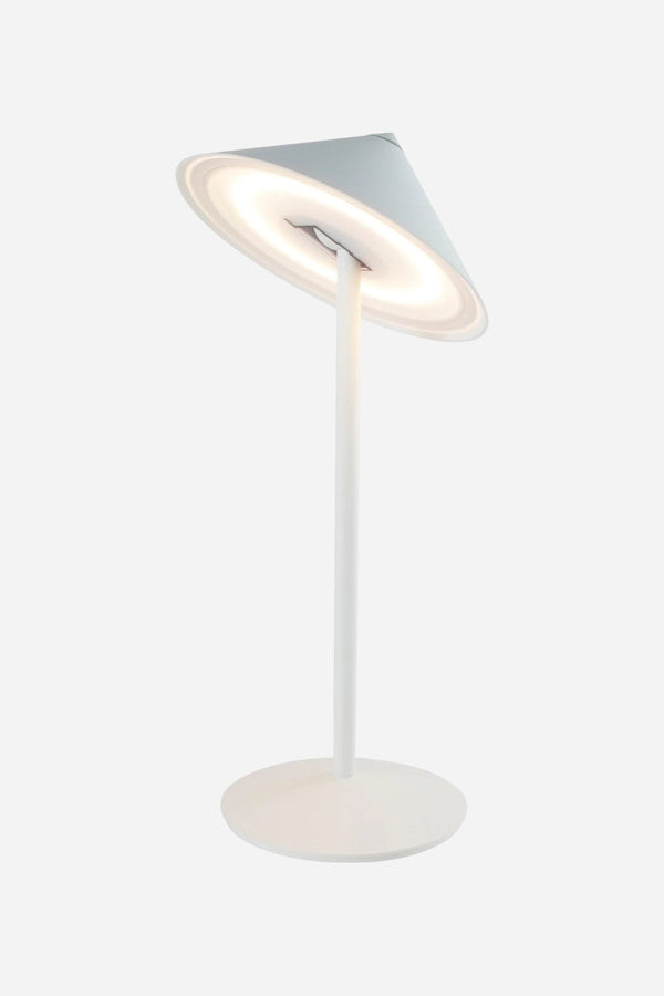 Zafferano Pina L Desk Lamp