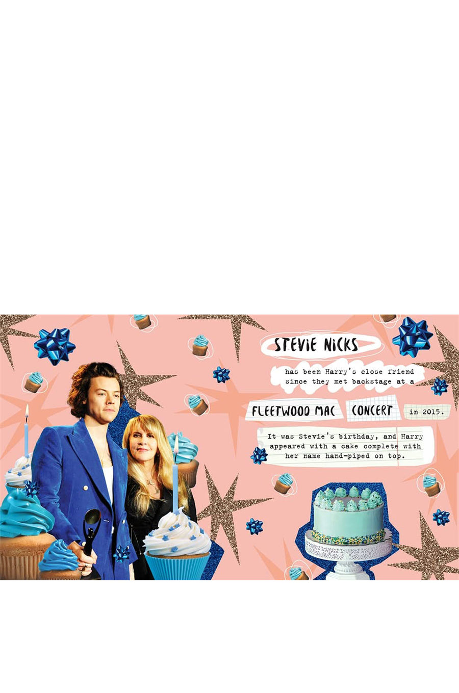 We Heart Harry Book