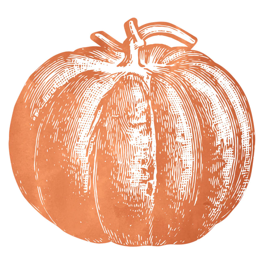 Hester & Cook Die Cut Pumpkin Placemat, Set of 12