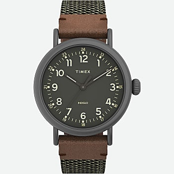 Timex Standard 40mm Watch in Green